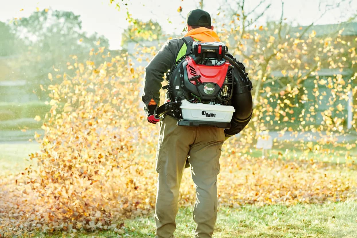 Fall Cleanup Sale